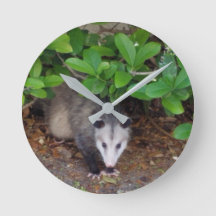 Reloj de pared acrílico possum