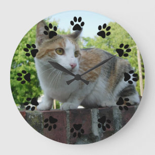 Reloj de pared adaptable del mascota