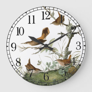 Reloj de pared animal de la fauna de los pájaros