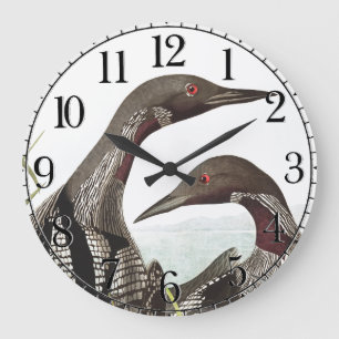 Reloj de pared animal de los pájaros del buceador