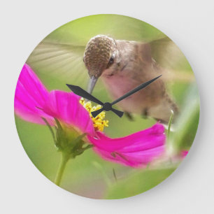 Reloj de pared animal del pájaro floral de la flo