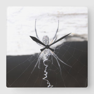 Reloj de pared araña