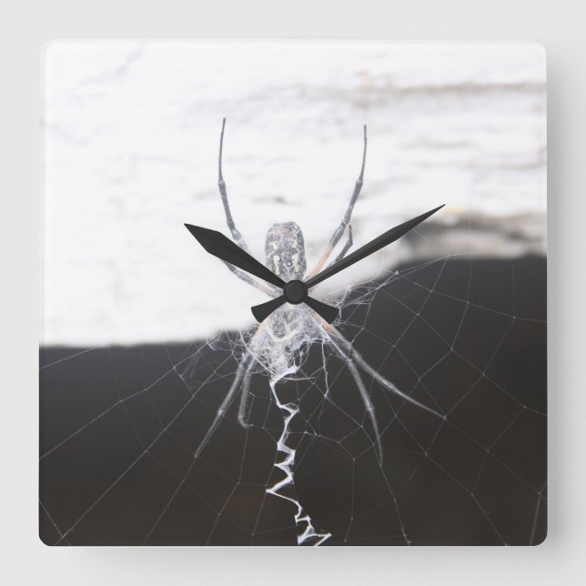 Reloj de pared araña (Anverso)