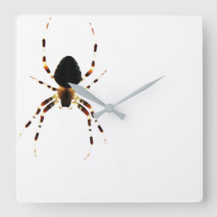 Reloj de pared araña
