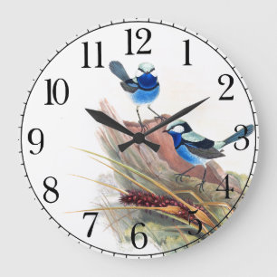 Reloj de pared azul de los animales de la fauna de