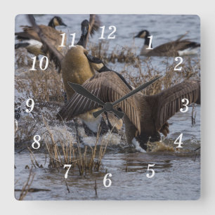 Reloj de pared Back Off