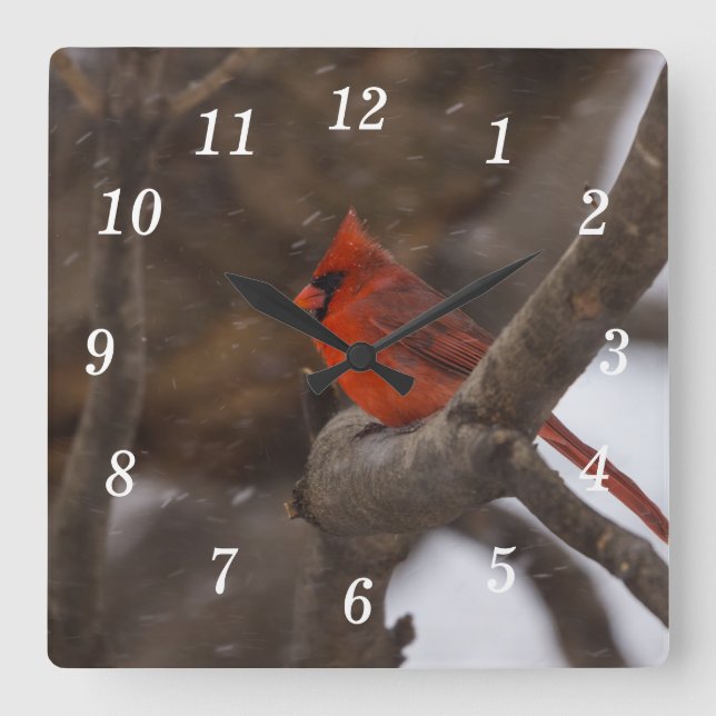 Reloj de pared cardinal de tormenta de nieve (Anverso)