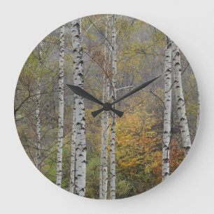 Reloj de pared circular de la foto de otoño de Bir