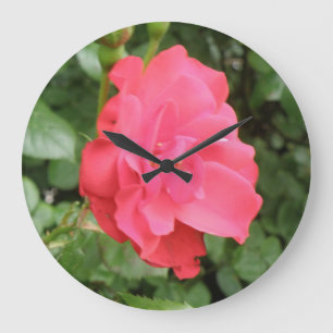 Reloj de pared color de rosa salvaje