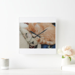 Reloj de pared con foto de gato durmiendo