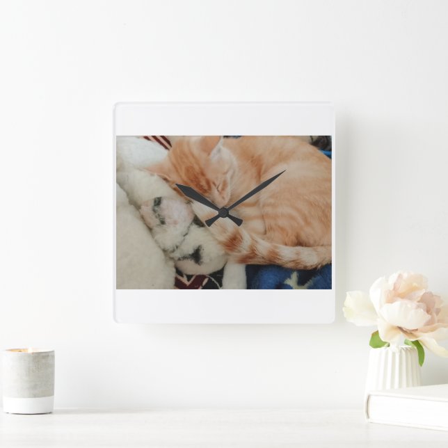 Reloj de pared con foto de gato durmiendo (Hogar)