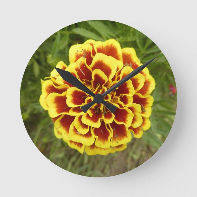 Reloj de pared con foto de Marigold encima (Anverso)