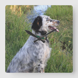 Reloj de pared con los perros de la pluma