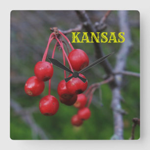 Reloj de pared cuadrado de Kansas Red Cherry