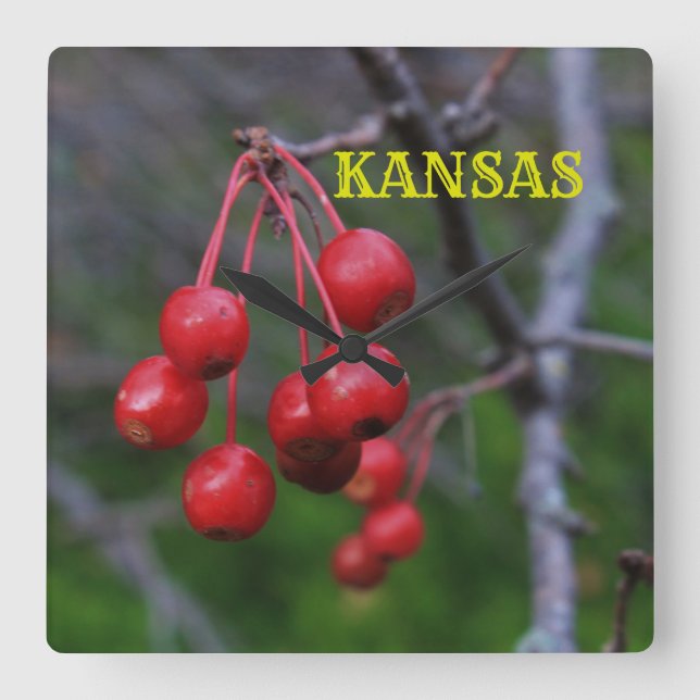 Reloj de pared cuadrado de Kansas Red Cherry (Anverso)