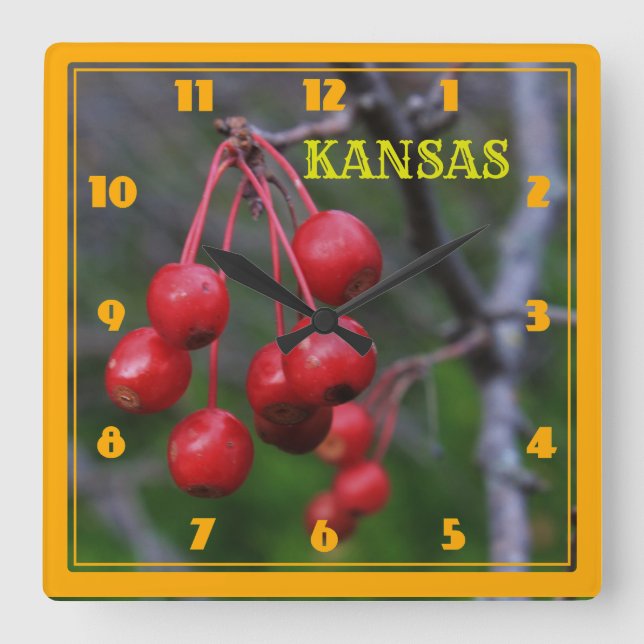 Reloj de pared cuadrado de Kansas Red Cherry (Anverso)