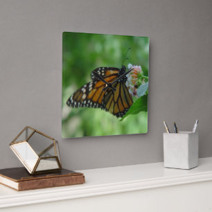 Reloj de pared cuadrado de la mariposa monarca bon