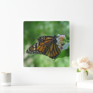 Reloj de pared cuadrado de la mariposa monarca bon