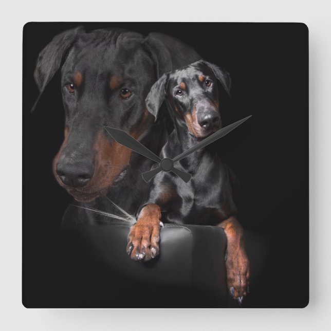 Reloj de pared cuadrado Dobermann (Anverso)