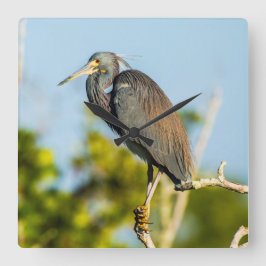 Reloj de pared de acrílico Bird Perfect