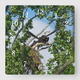 Reloj de pared de águilas calientes