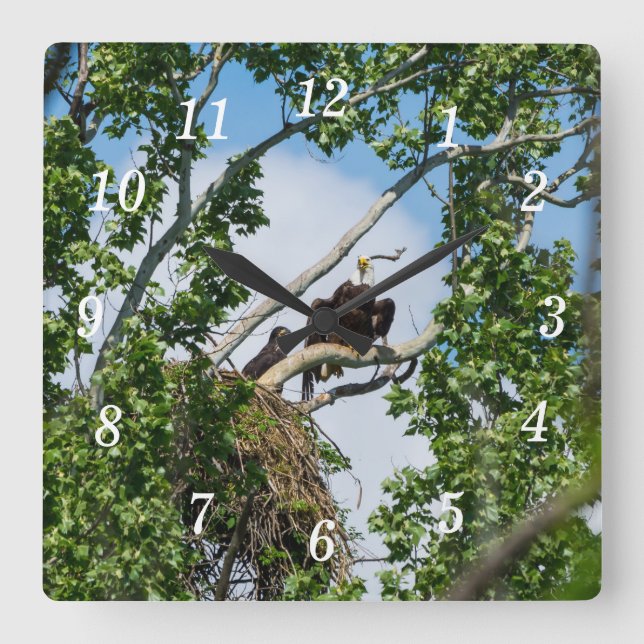 Reloj de pared de águilas calientes (Anverso)