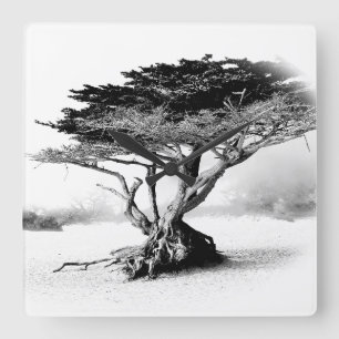 Reloj de pared de ÁRBOL DE PLAYA