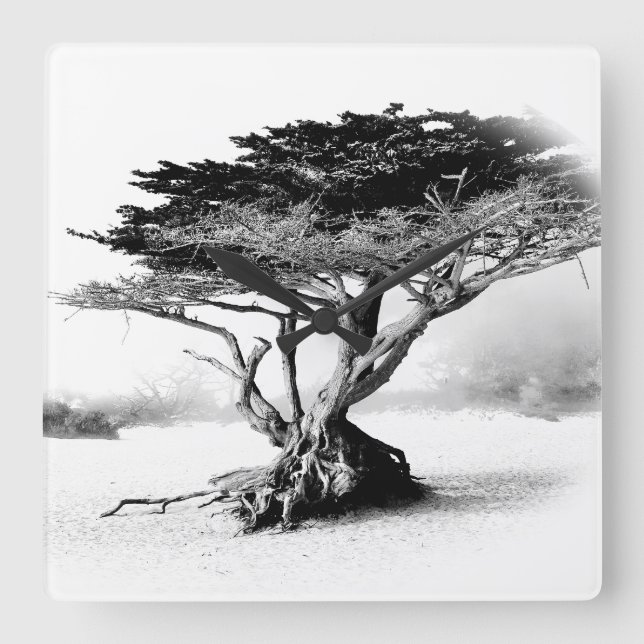 Reloj de pared de ÁRBOL DE PLAYA (Anverso)