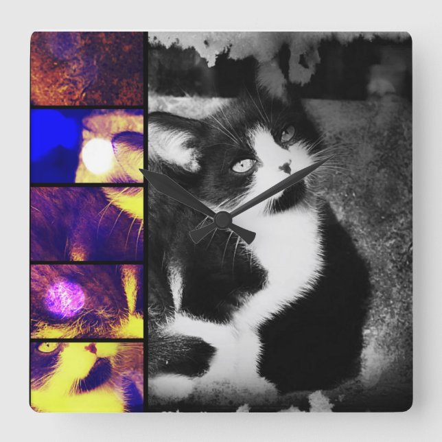 Reloj de pared de arte fotográfico de Tuxedo Kitte (Anverso)