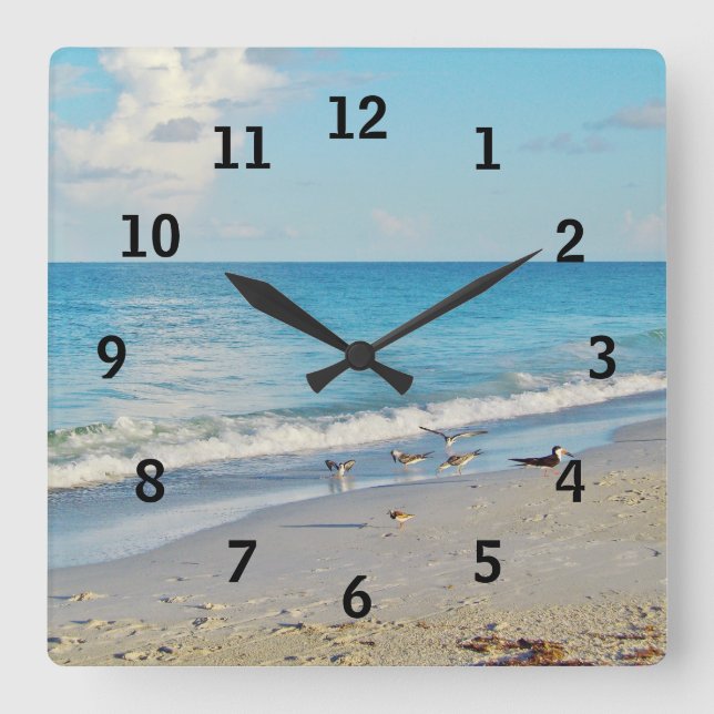 Reloj de pared de aves de playa (Anverso)