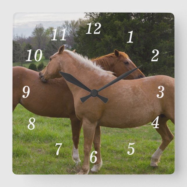 Reloj de pared de belleza de baño (Anverso)