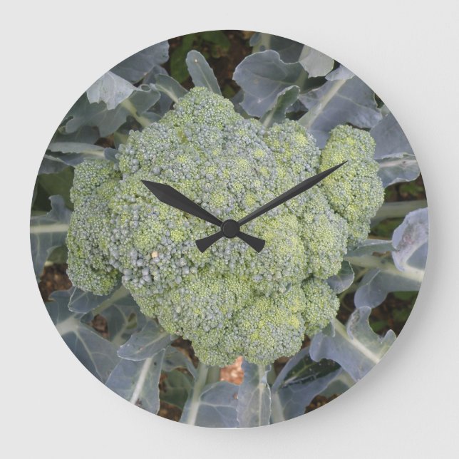 Reloj de pared de brócoli (Anverso)