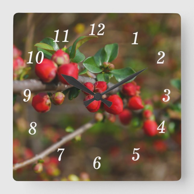 Reloj de pared de brotes de la primavera roja (Anverso)