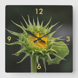 Reloj de pared de bud de girasol