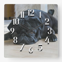 Reloj de pared de cachorro pug negro lindo
