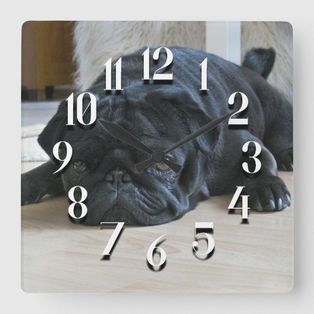 Reloj de pared de cachorro pug negro lindo (Anverso)