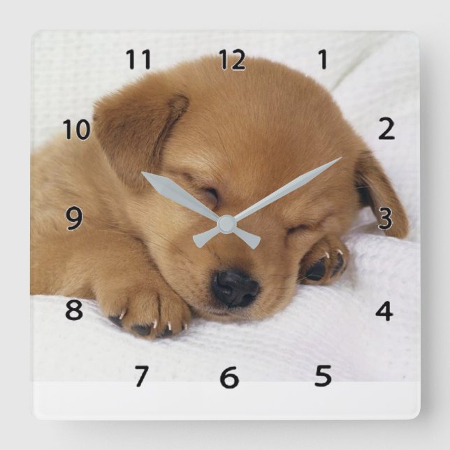 Reloj de pared de cachorros (Anverso)