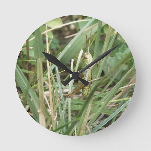 Reloj de pared de camuflaje de Grasshopper (Anverso)
