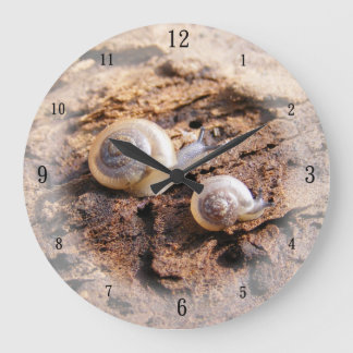 Reloj de pared de caracoles para bebés