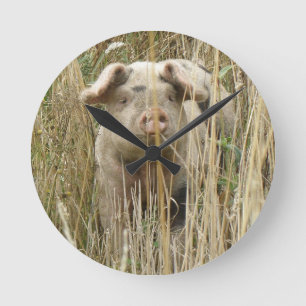Reloj de pared de cerdo capoteado