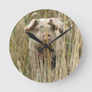Reloj de pared de cerdo capoteado
