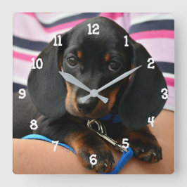 Reloj de pared de cobre de Dachshund