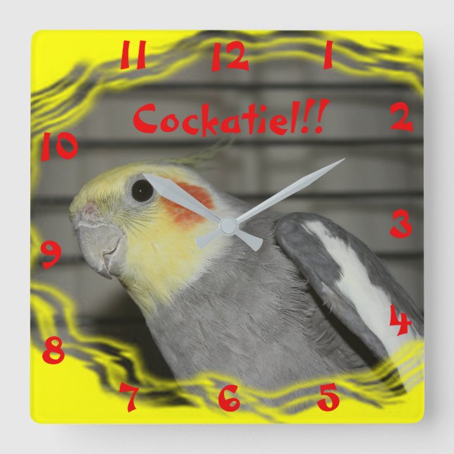 Reloj de pared de Cockatiel (Anverso)