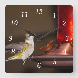 Reloj de pared de colibrí gaviota de hembra