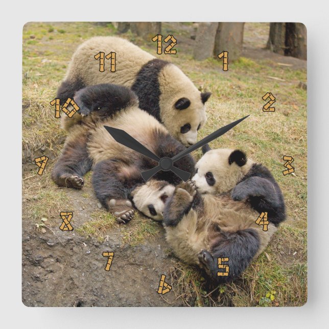 Reloj de pared de Cubs de la panda que juega tres (Anverso)