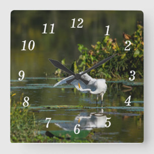 Reloj de pared de examen Egret Wing