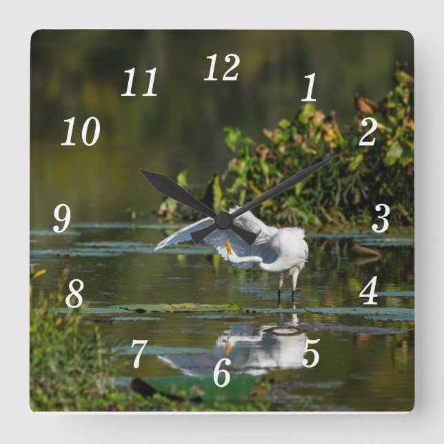 Reloj de pared de examen Egret Wing (Anverso)