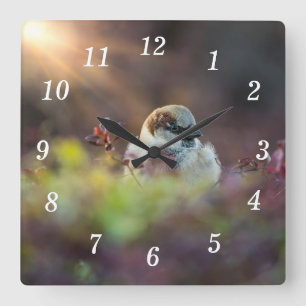 Reloj de pared de finca de baño con luz solar