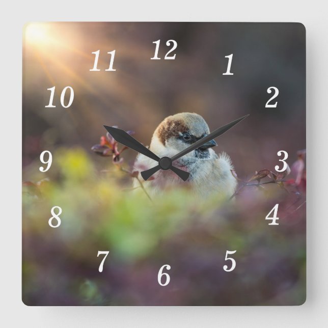 Reloj de pared de finca de baño con luz solar (Anverso)