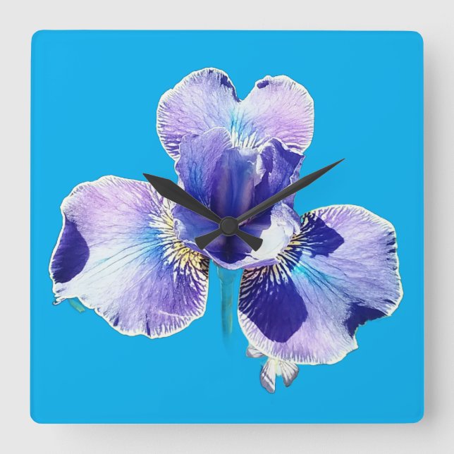 Reloj de pared de flor azul (Anverso)